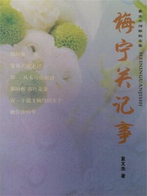 cover image of 梅宁关记事